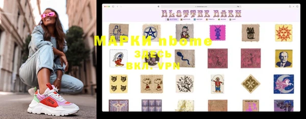 ПСИЛОЦИБИНОВЫЕ ГРИБЫ Абаза