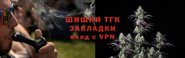 дживик Абинск