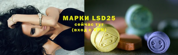 дживик Абинск