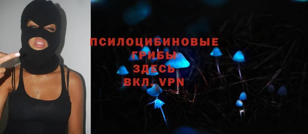 дживик Абинск