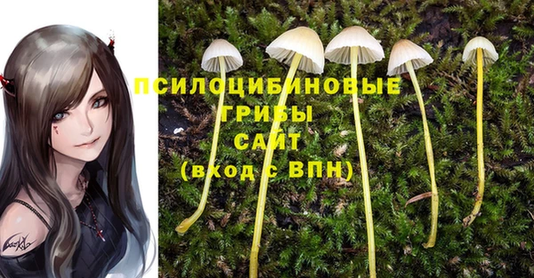 ПСИЛОЦИБИНОВЫЕ ГРИБЫ Абаза