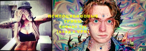 ALPHA PVP Мегион