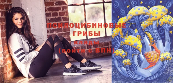 ПСИЛОЦИБИНОВЫЕ ГРИБЫ Абаза